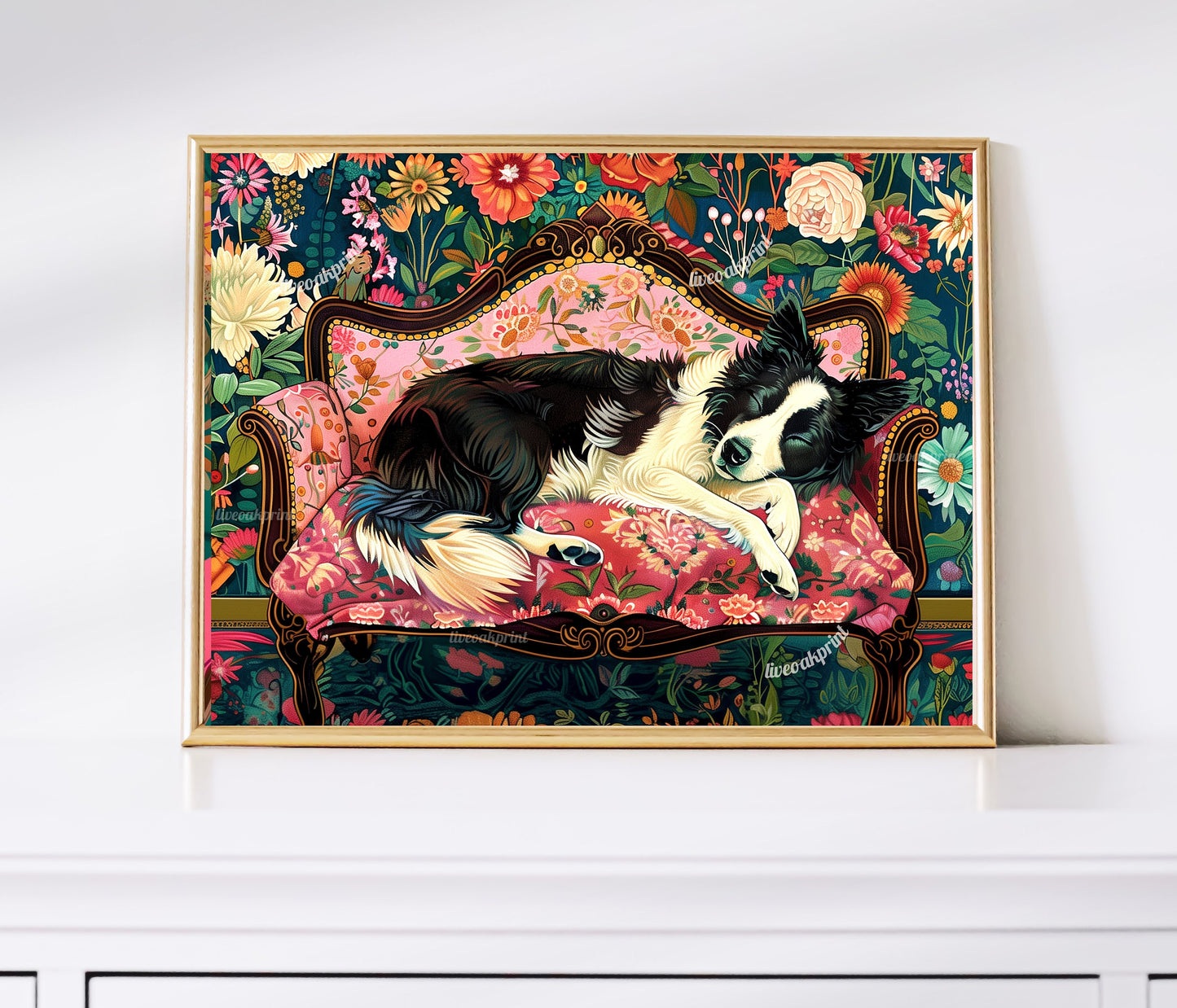 Sleeping Border Collie