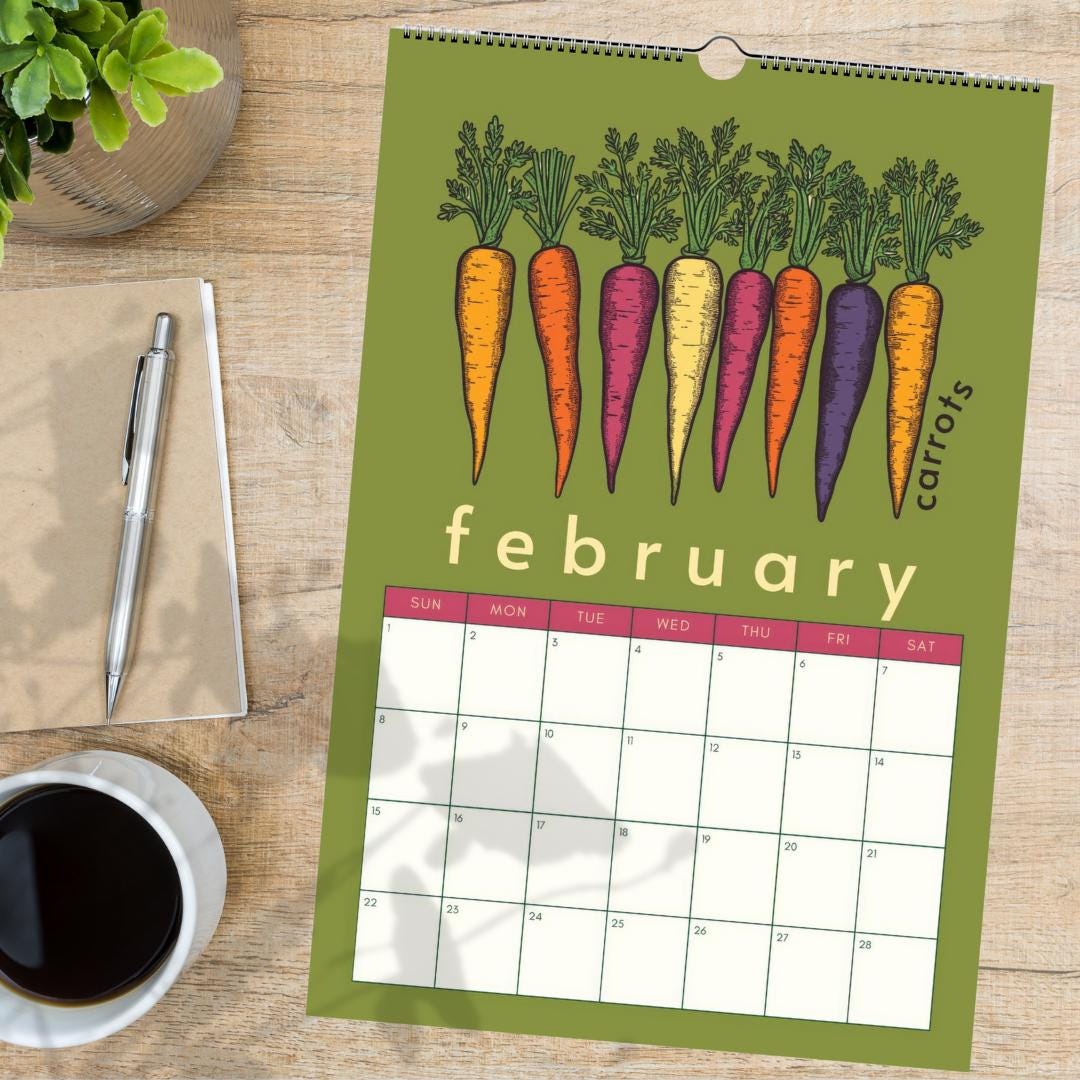 Mid Year Wall Calendar 2025–2026