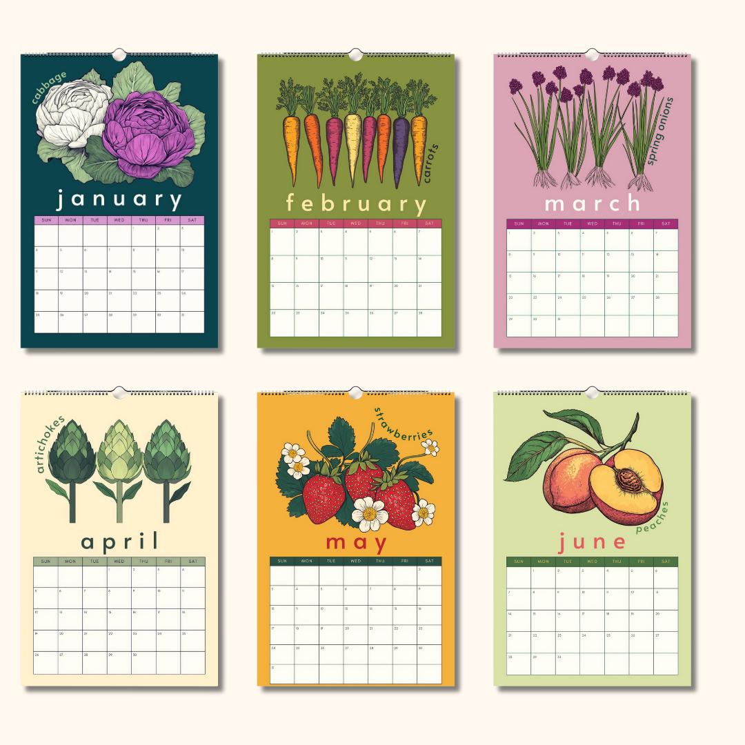 Mid Year Wall Calendar 2025–2026