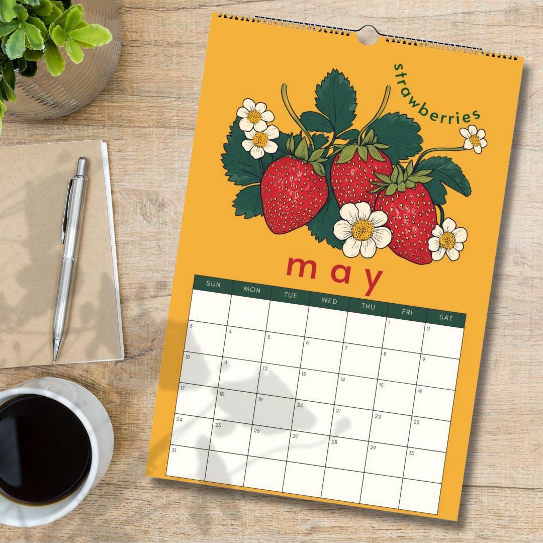 Mid Year Wall Calendar 2025–2026