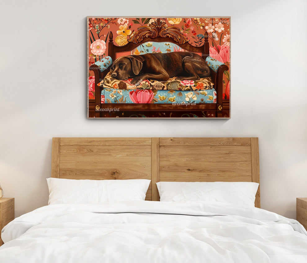 Sleeping Chocolate Lab