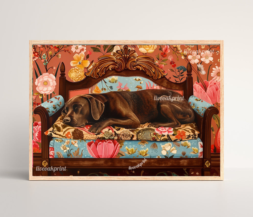 Sleeping Chocolate Lab