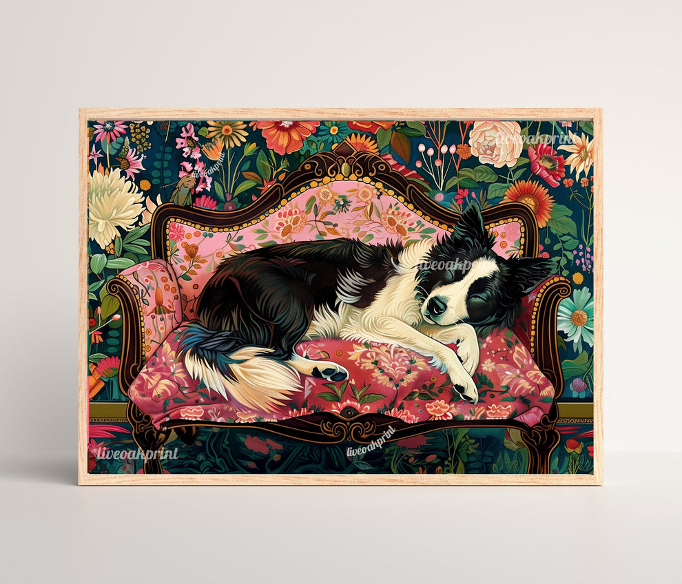 Sleeping Border Collie