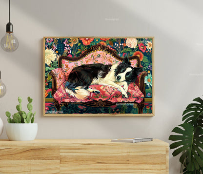 Sleeping Border Collie