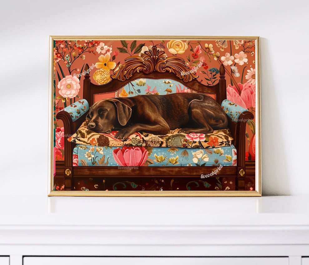 Sleeping Chocolate Lab