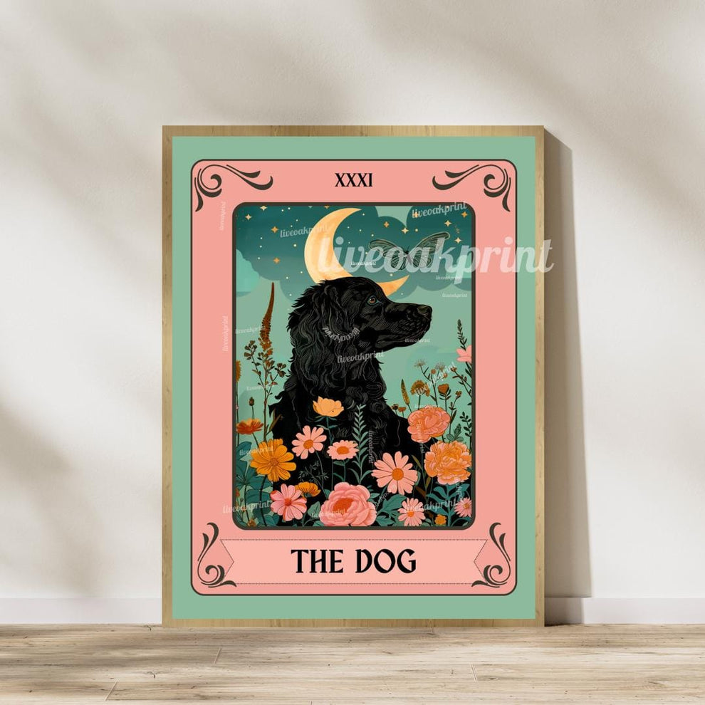 Cat and Dog Tarot Card Bundle