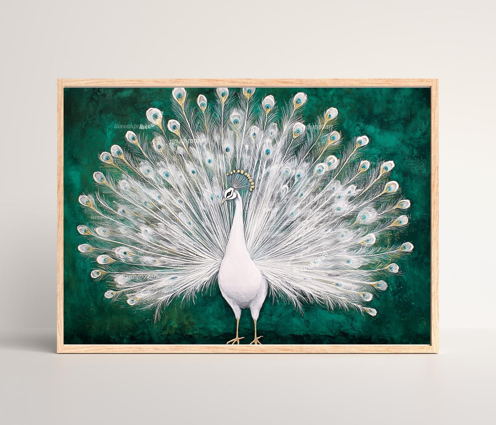 White Peacock Print