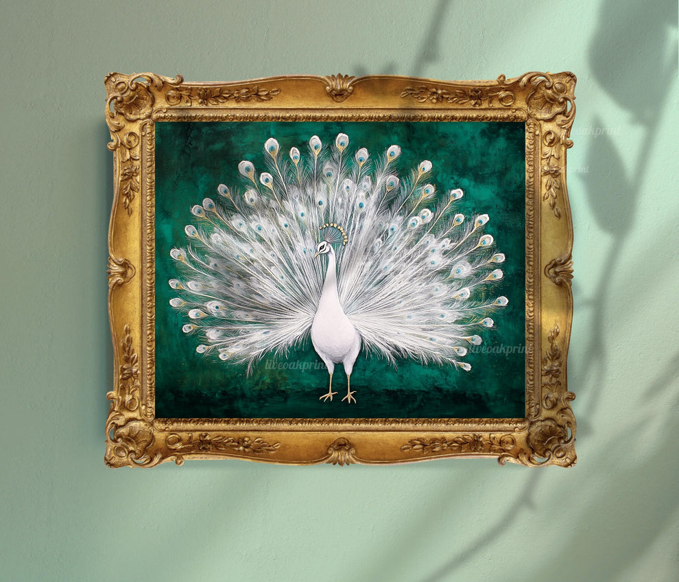 White Peacock Print