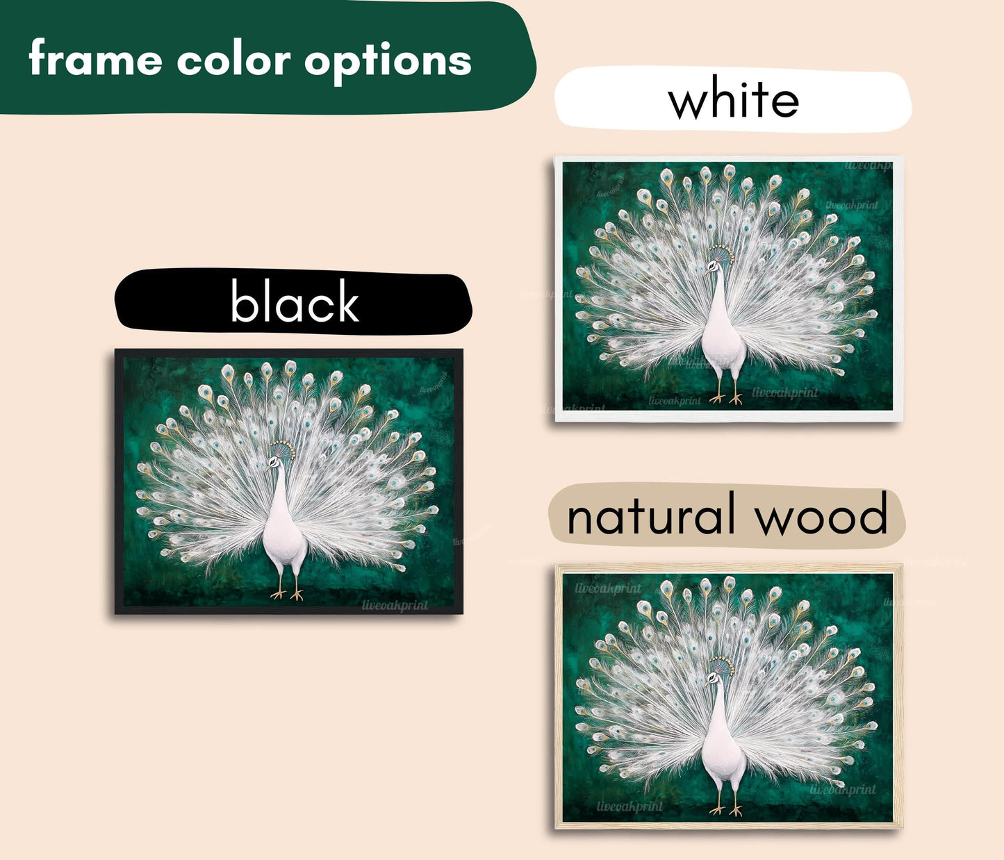 White Peacock Print