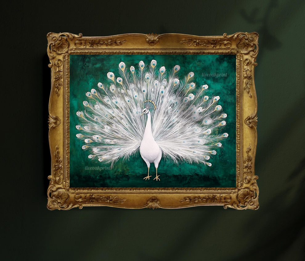 White Peacock Print
