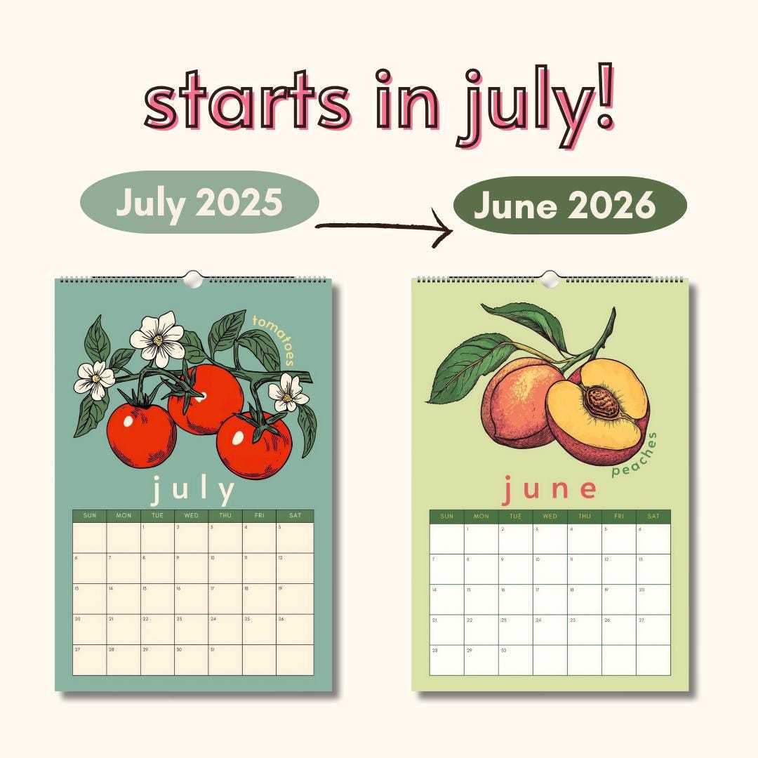 Mid Year Wall Calendar 2025–2026