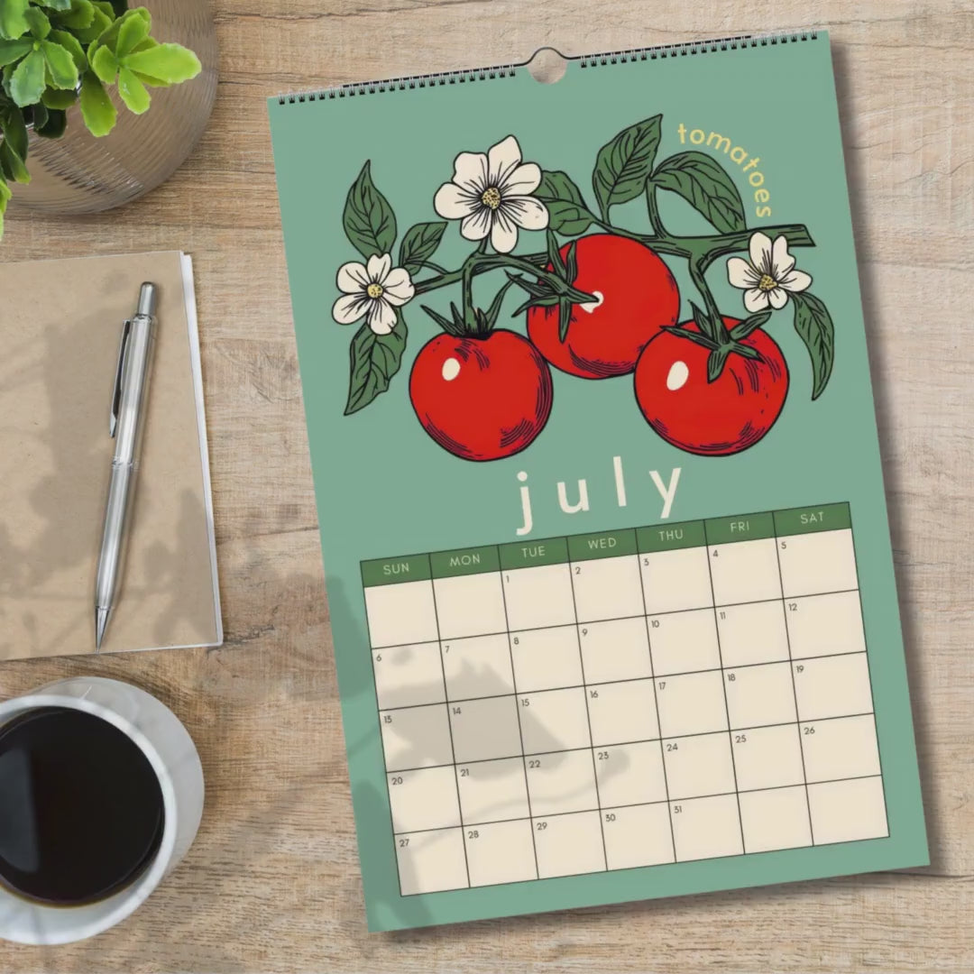 Mid Year Wall Calendar 2025–2026